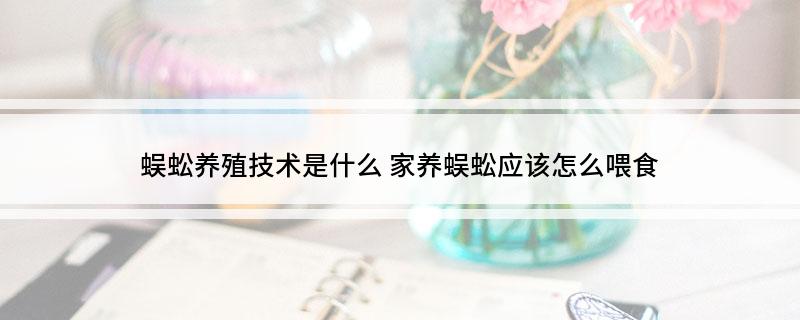 养殖蜈蚣效益怎么样_每日农经蜈蚣养殖技术_养殖蜈蚣赚钱吗