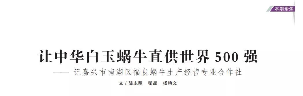 让中华白玉蜗牛直供世界500强——记嘉兴市南湖区福良蜗牛生产经营专业合作社