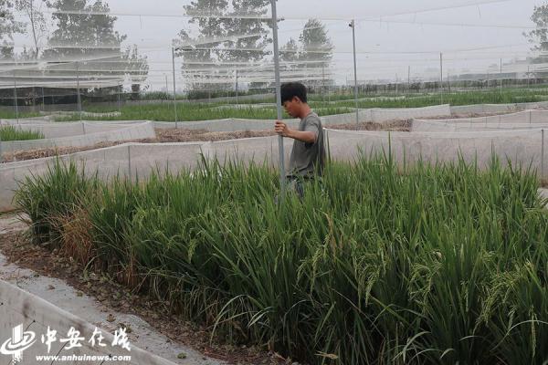 致富经栏目养龙虾视频_致富经龙虾养殖视频全集_致富经小龙虾