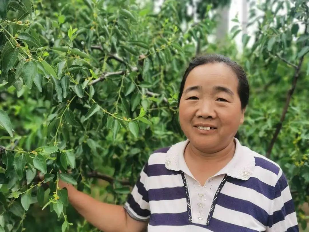 邹平特色农业_邹平种植致富项目_邹城种植结构