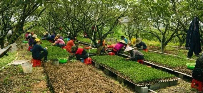 养殖视频致富经_湖南美女养殖致富_湖南山区养殖什么赚钱