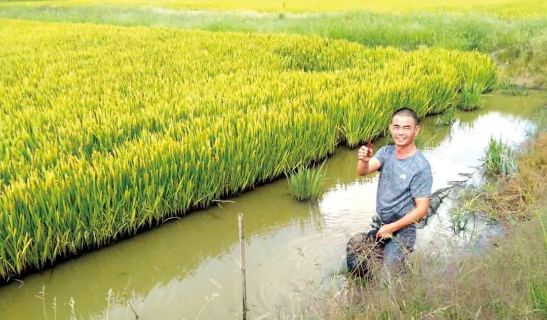 致富经龙虾养殖视频全集_致富经栏目养龙虾视频_致富经小龙虾养殖技术