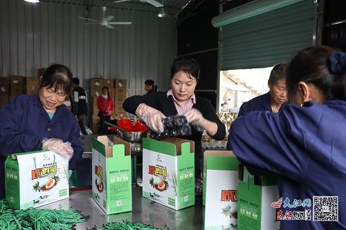 农村最美致富女能手_农村女人致富经_致富农村女人图片