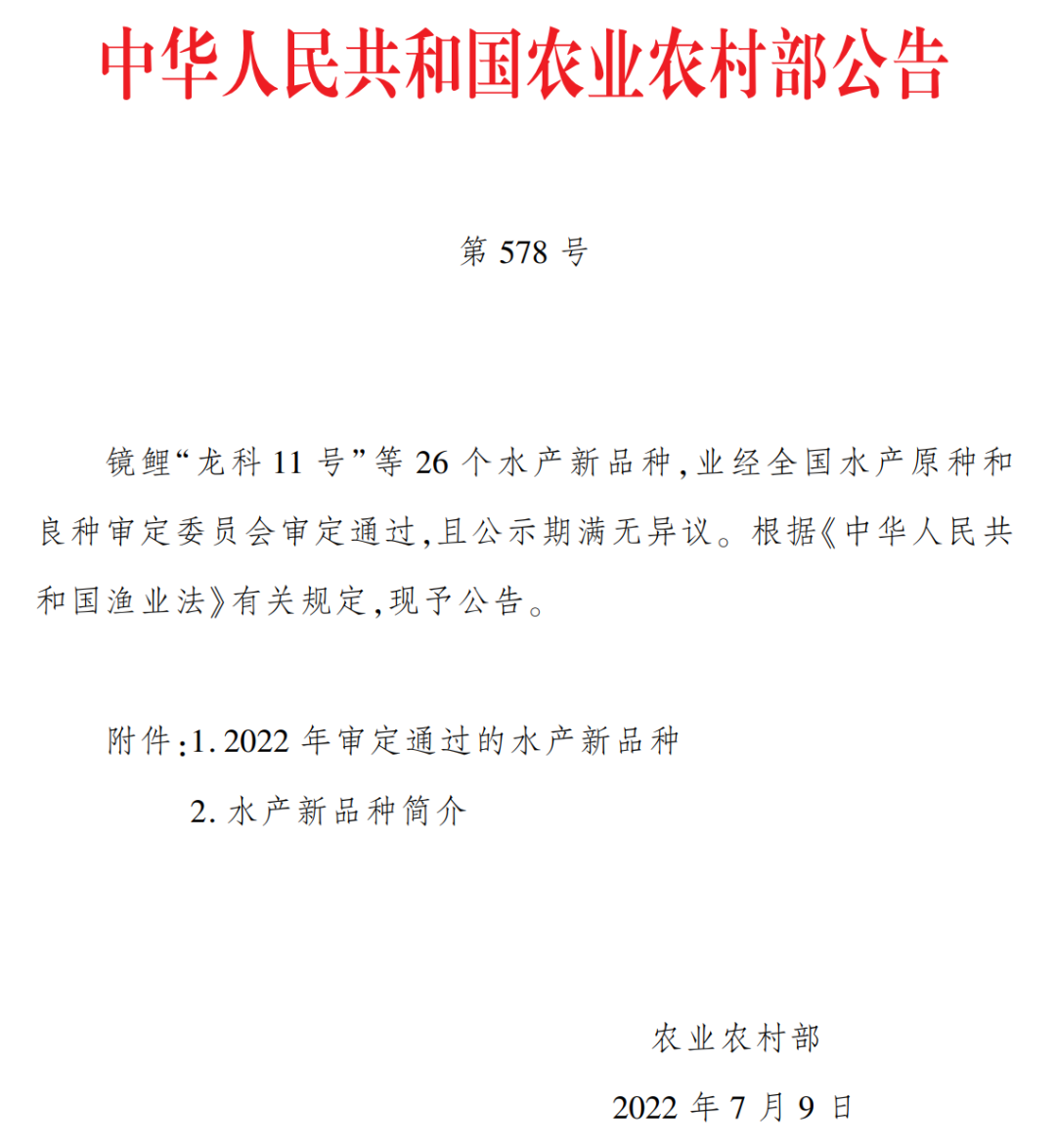 山东罗非鱼养殖基地_养殖山东罗非鱼技术规程_山东罗非鱼养殖技术