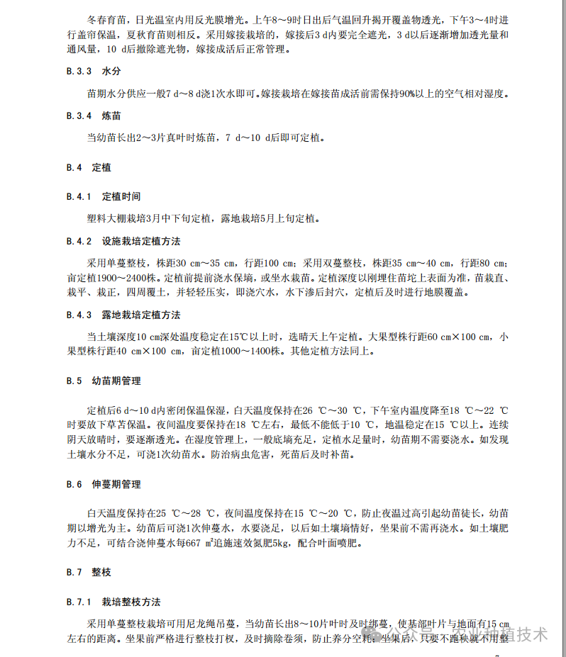 香瓜甜瓜的种植技术视频_香甜瓜怎么种植_甜香瓜的栽培与技术视频