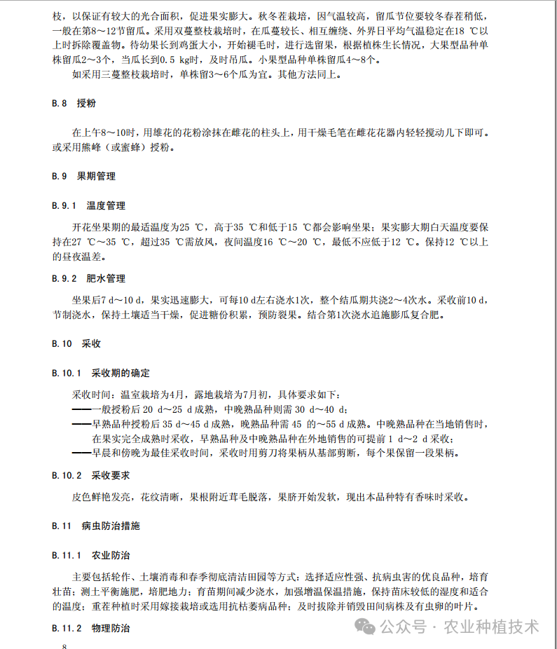 香甜瓜怎么种植_香瓜甜瓜的种植技术视频_甜香瓜的栽培与技术视频