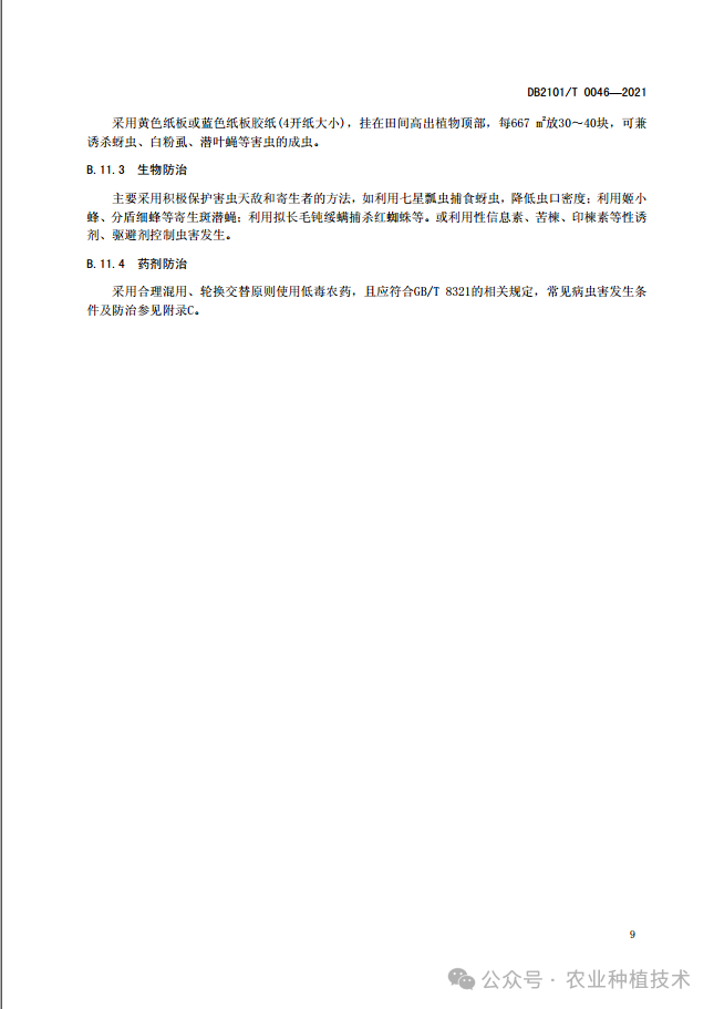 甜香瓜的栽培与技术视频_香甜瓜怎么种植_香瓜甜瓜的种植技术视频