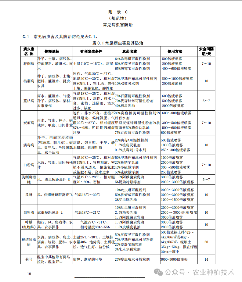 甜香瓜的栽培与技术视频_香甜瓜怎么种植_香瓜甜瓜的种植技术视频