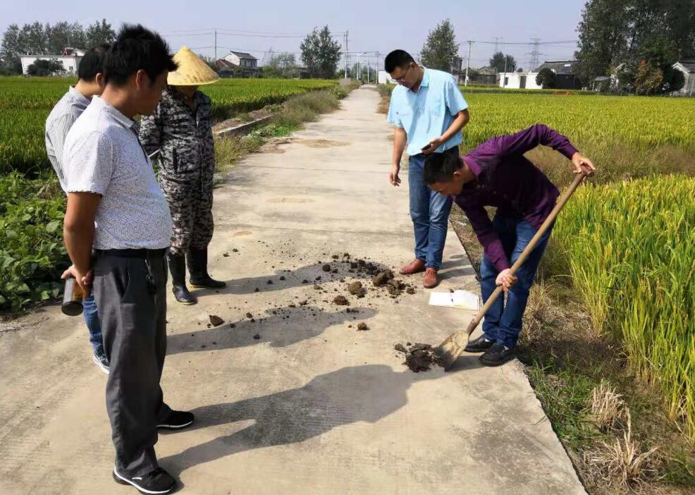 致富种植江苏项目名单_种植致富案例_江苏种植致富项目