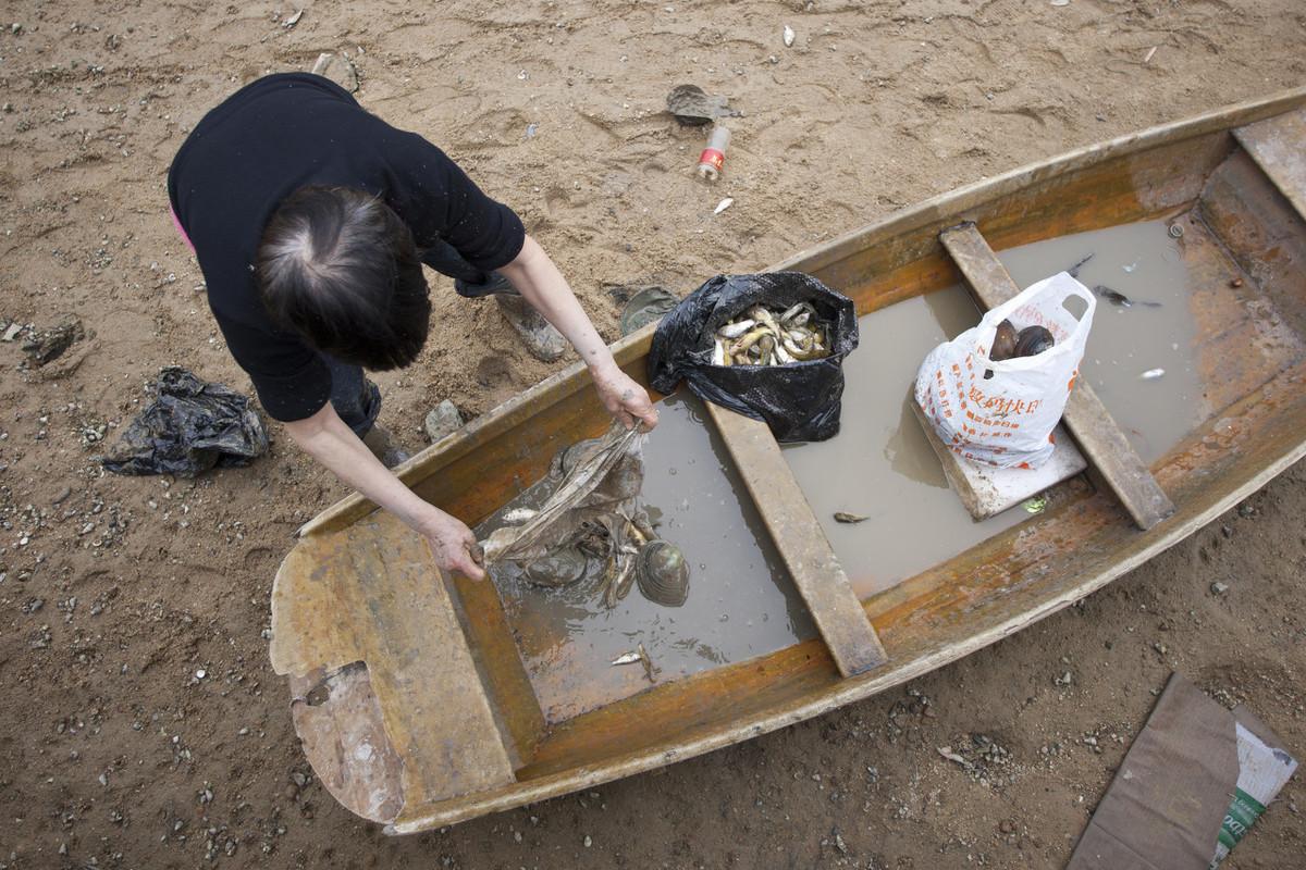 草鱼高密度养殖技术视频-标清_致富养殖草鱼高密度技术有哪些_致富经高密度草鱼养殖技术