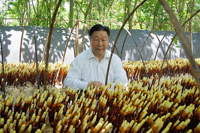 种香菇的视频_香菇种植视频教程_香菇蘑菇种植技术视频