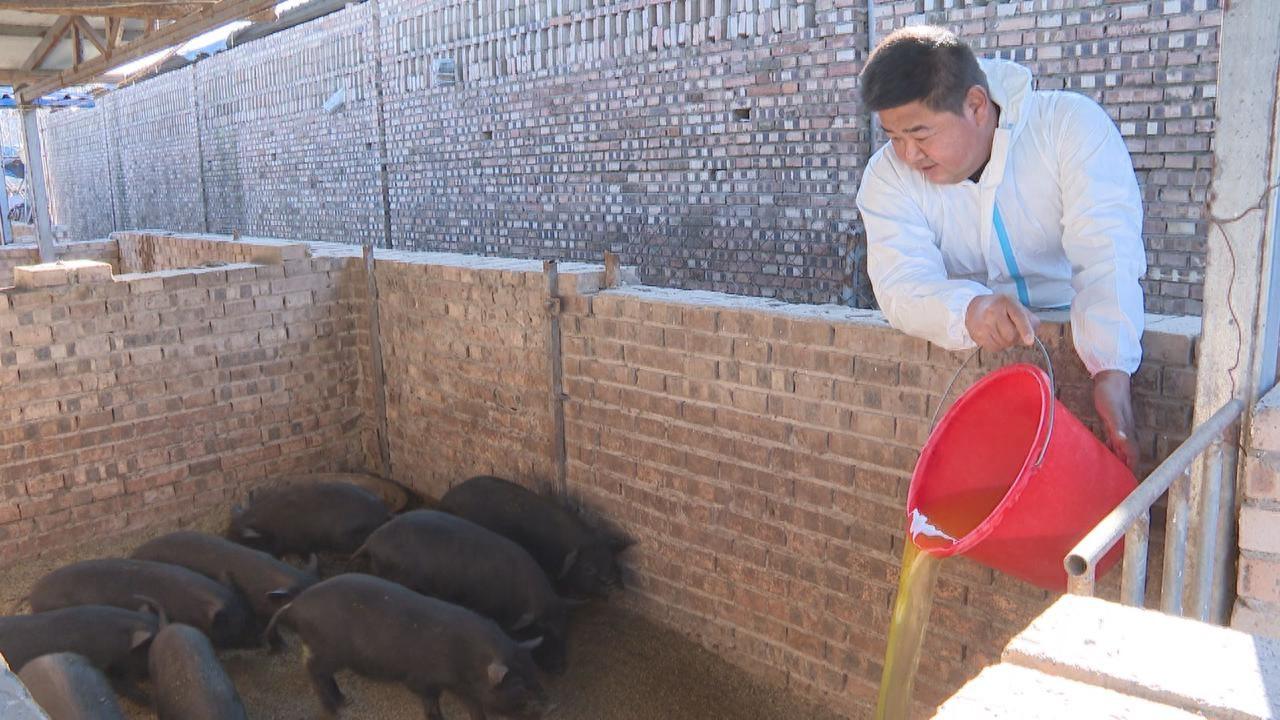 河南养殖项目_河南养殖富豪_河南养殖致富