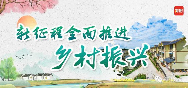 返乡创业抓“鸡”遇 当起致富“新农人”