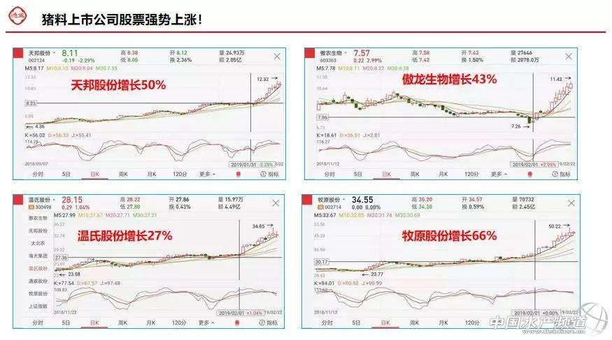 草鱼的高密度养殖_草鱼高密度养殖技术视频-标清_致富经高密度草鱼养殖技术