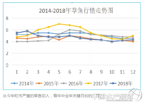 草鱼的高密度养殖_草鱼高密度养殖技术视频-标清_致富经高密度草鱼养殖技术