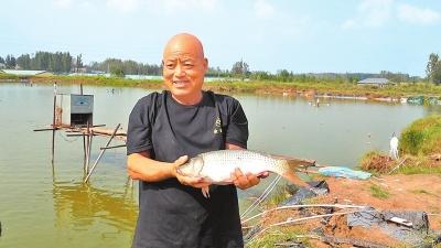 河南养殖致富_致富经河南养羊_河南养殖项目