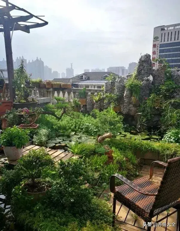 致富养殖好项目大全_致富养殖阁楼图片_阁楼养殖什么致富