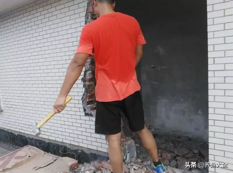 阁楼养殖什么致富_致富养殖好项目大全_致富养殖阁楼图片