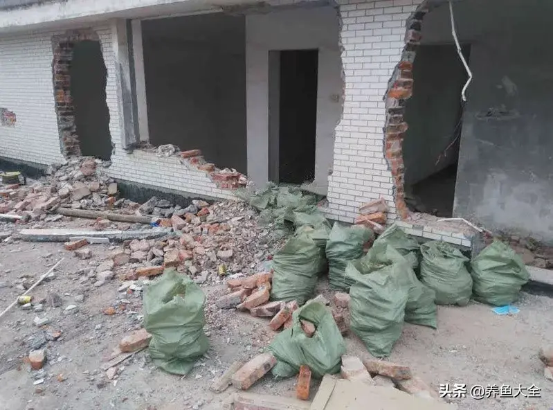 阁楼养殖什么致富_致富养殖阁楼图片_致富养殖好项目大全