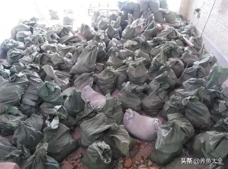 致富养殖好项目大全_阁楼养殖什么致富_致富养殖阁楼图片