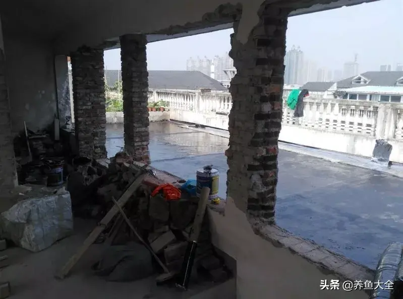 致富养殖好项目大全_致富养殖阁楼图片_阁楼养殖什么致富