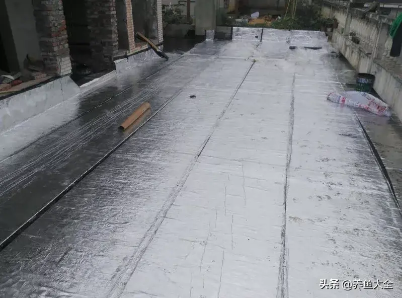 致富养殖好项目大全_阁楼养殖什么致富_致富养殖阁楼图片