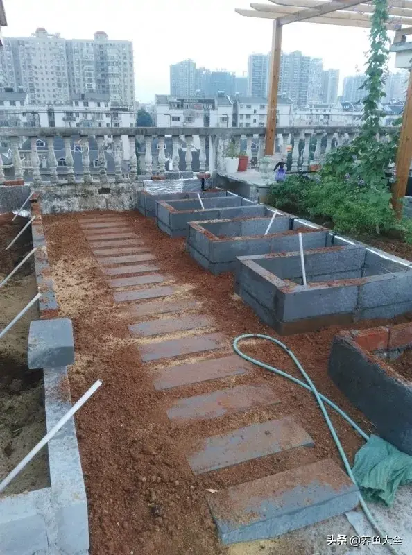 阁楼养殖什么致富_致富养殖阁楼图片_致富养殖好项目大全