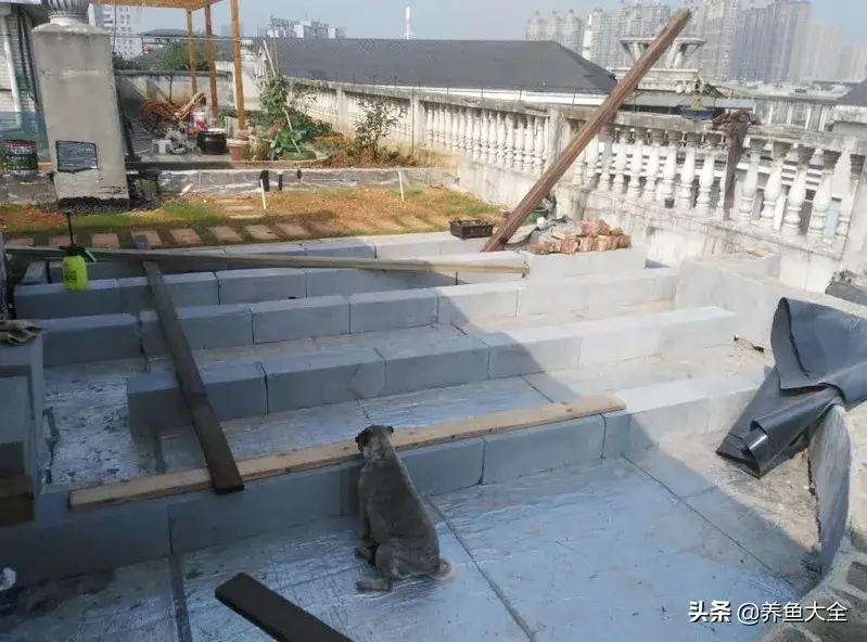 致富养殖阁楼图片_阁楼养殖什么致富_致富养殖好项目大全