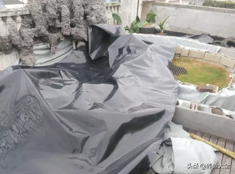 致富养殖好项目大全_致富养殖阁楼图片_阁楼养殖什么致富