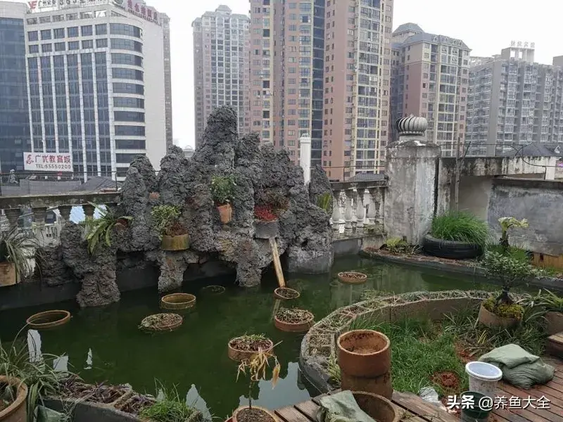 致富养殖好项目大全_阁楼养殖什么致富_致富养殖阁楼图片