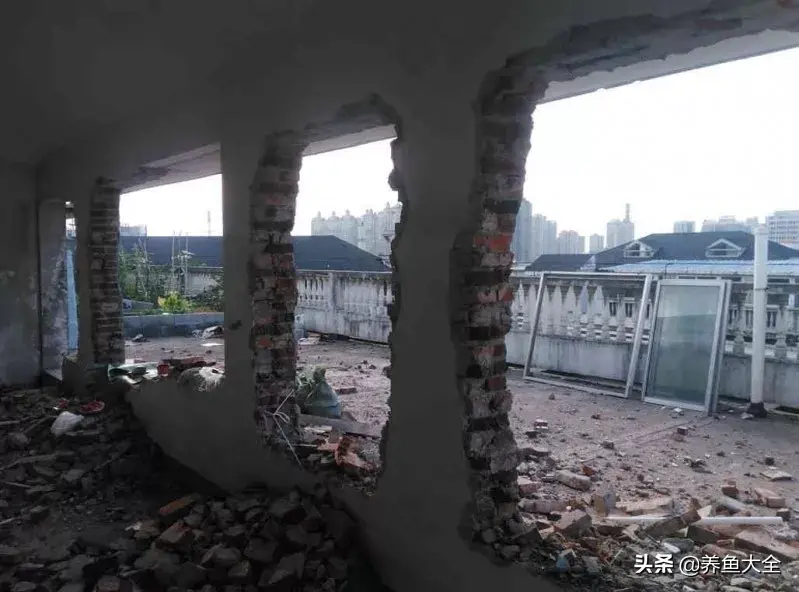 致富养殖阁楼图片_致富养殖好项目大全_阁楼养殖什么致富