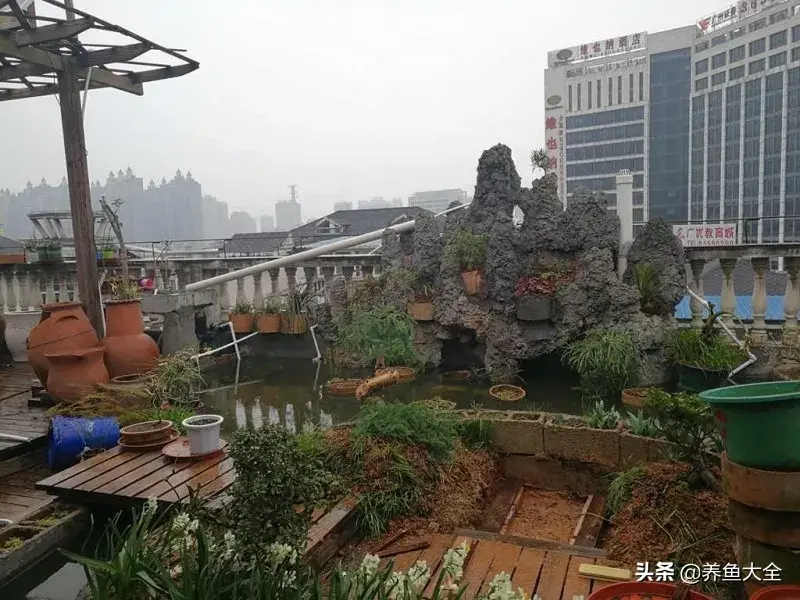 阁楼养殖什么致富_致富养殖阁楼图片_致富养殖好项目大全