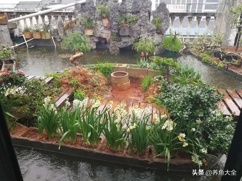 致富养殖阁楼图片_阁楼养殖什么致富_致富养殖好项目大全