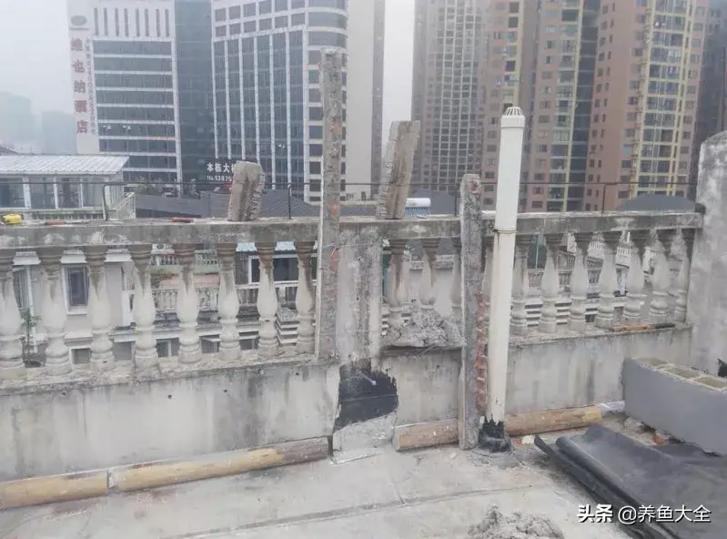 阁楼养殖什么致富_致富养殖好项目大全_致富养殖阁楼图片