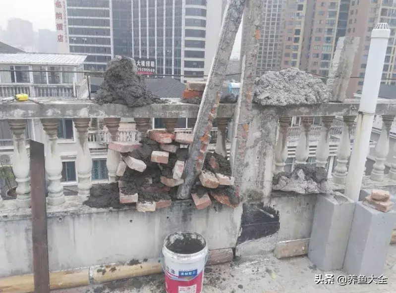 阁楼养殖什么致富_致富养殖阁楼图片_致富养殖好项目大全