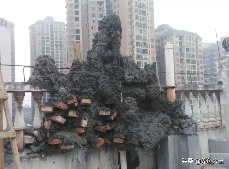 致富养殖好项目大全_阁楼养殖什么致富_致富养殖阁楼图片