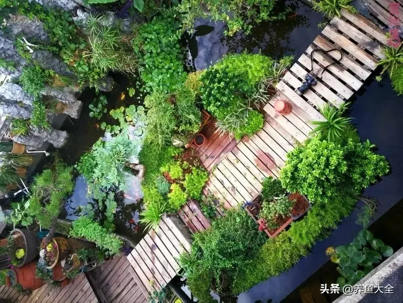 致富养殖阁楼图片_阁楼养殖什么致富_致富养殖好项目大全