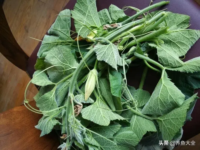 致富养殖好项目大全_致富养殖阁楼图片_阁楼养殖什么致富