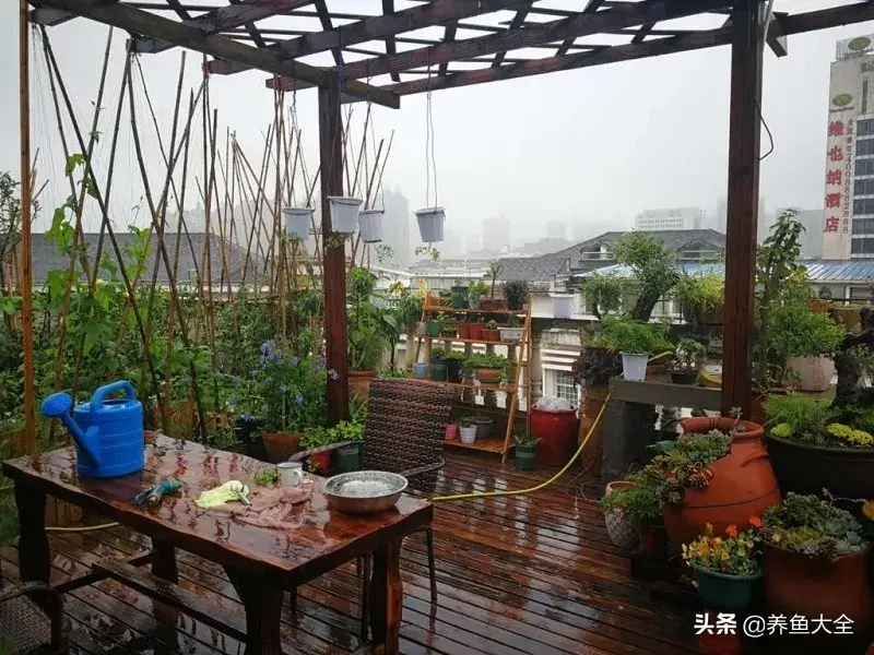 致富养殖阁楼图片_致富养殖好项目大全_阁楼养殖什么致富