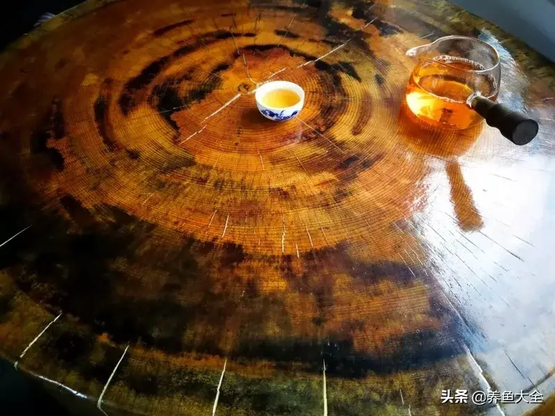 致富养殖好项目大全_致富养殖阁楼图片_阁楼养殖什么致富