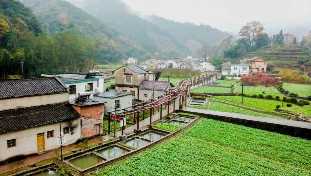 致富养殖草鱼高密度技术视频_草鱼的高密度养殖_致富经高密度草鱼养殖技术