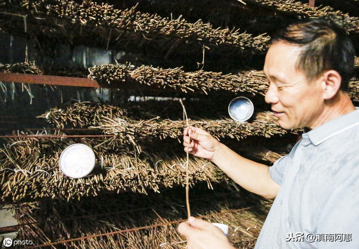 蝉的人工养殖技术人工养殖_人工养殖蝉最快多长时间_人工养蝉视频