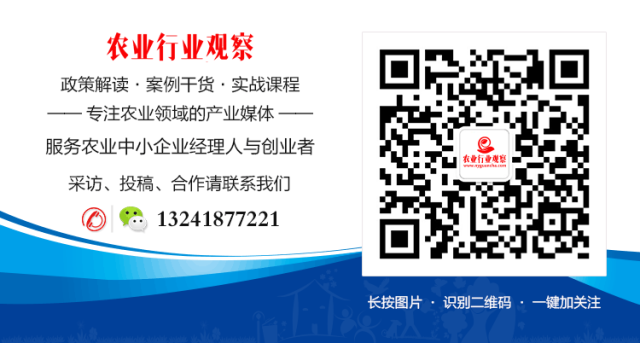 农村致富新项目养殖_农村互联网养殖致富案例_农村致富养殖信息