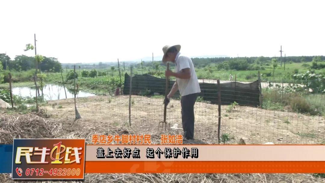 冬季地龙养殖致富_致富养殖冬季地龙好吗_地龙养殖前景