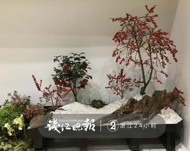 花卉致富种植机器视频_花卉致富种植机器图片_花卉种植致富机器