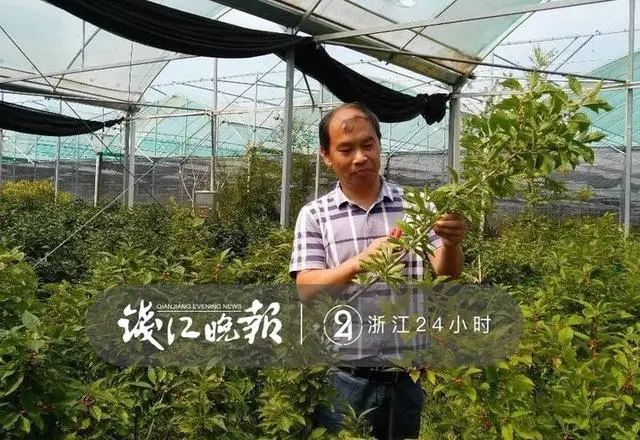 花卉致富种植机器视频_花卉致富种植机器图片_花卉种植致富机器