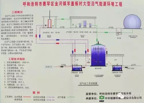 鸡粪养蛆视频_鸡粪养殖蝇蛆的技术_用鸡粪养的蝇蛆怎么喂鸡