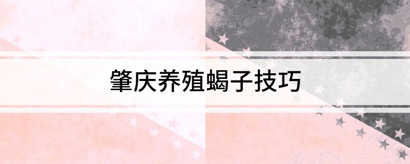 肇庆养殖蝎子技巧