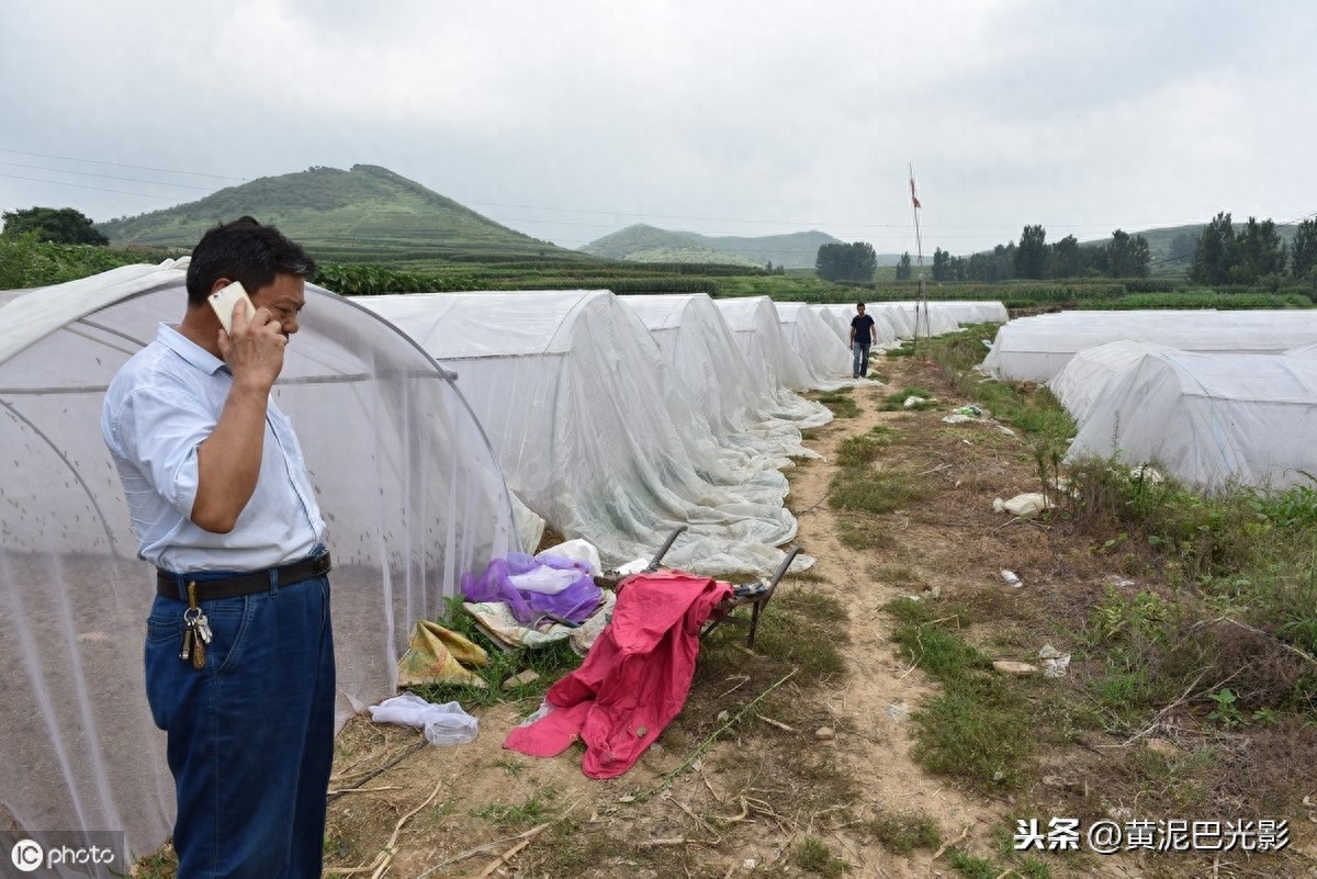 山东农民把“公认害虫”，养成“致富虫”，看啥情况