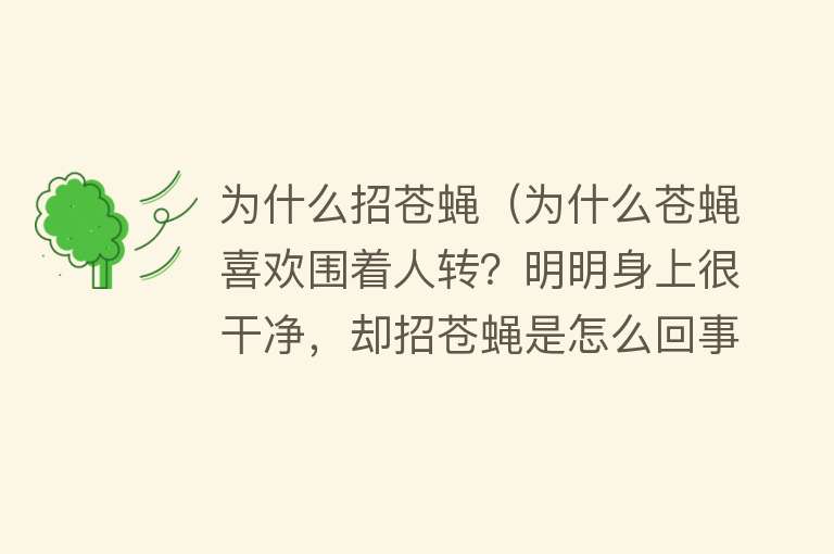 为什么招苍蝇（为什么苍蝇喜欢围着人转？明明身上很干净，却招苍蝇是怎么回事？）